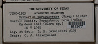 Image Associated With the Occurence